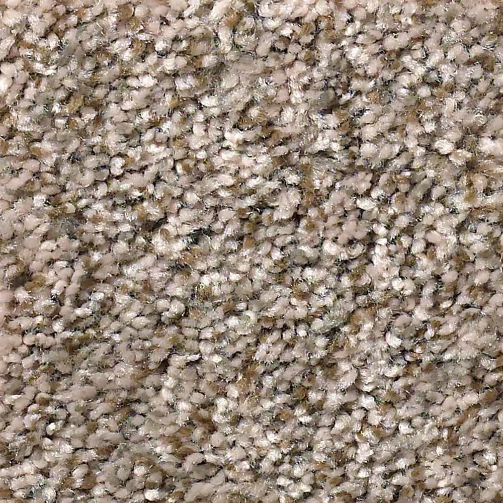 Shaw Simply the Best Cabana Life Carpet in Summer Wind