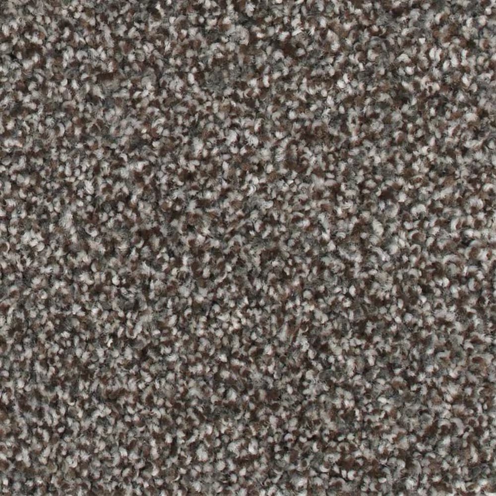 Karastan Fascinating Allure Carpet in Universal Umber