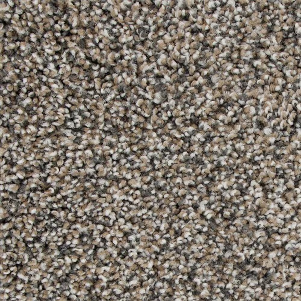 Karastan Fascinating Allure Carpet in Homestead