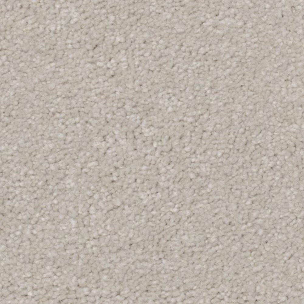 Karastan Live Artfully Carpet in Studio