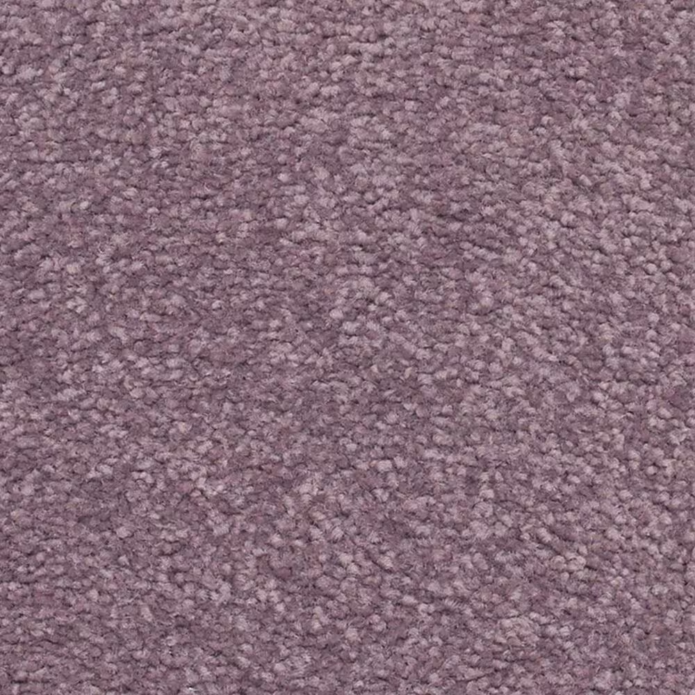 Karastan Live Artfully Carpet in Viola