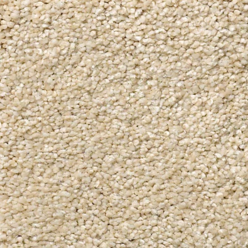 Shaw Find Your Comfort NS II Carpet in Sun Kissed