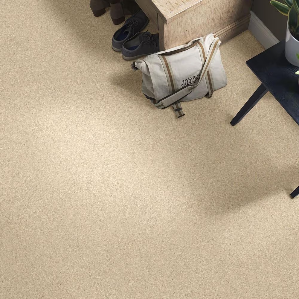 40651-shaw-find-your-comfort-ns-ii-carpet-in-sun-kissed-1.jpg