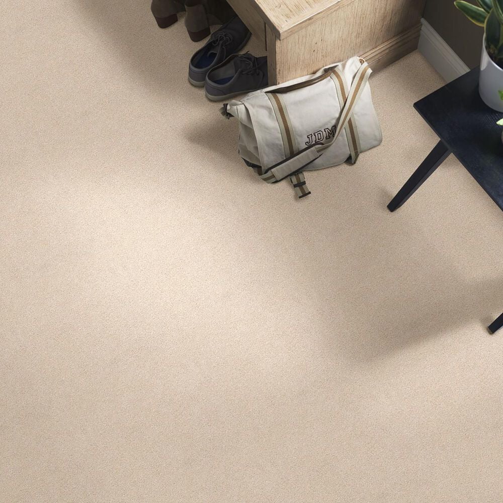 40891-shaw-find-your-comfort-ns-ii-carpet-in-happy-place-1.jpg