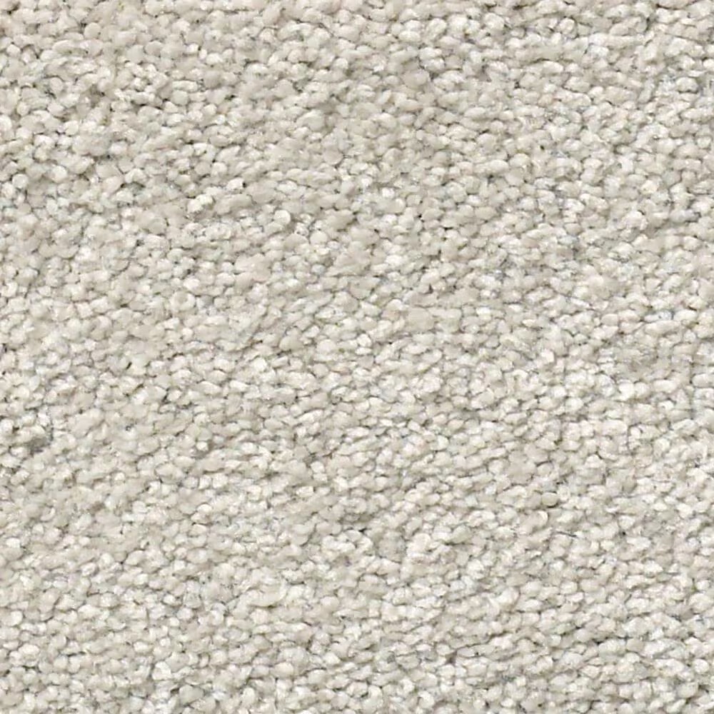Shaw Find Your Comfort NS II Carpet in Chill in The Air