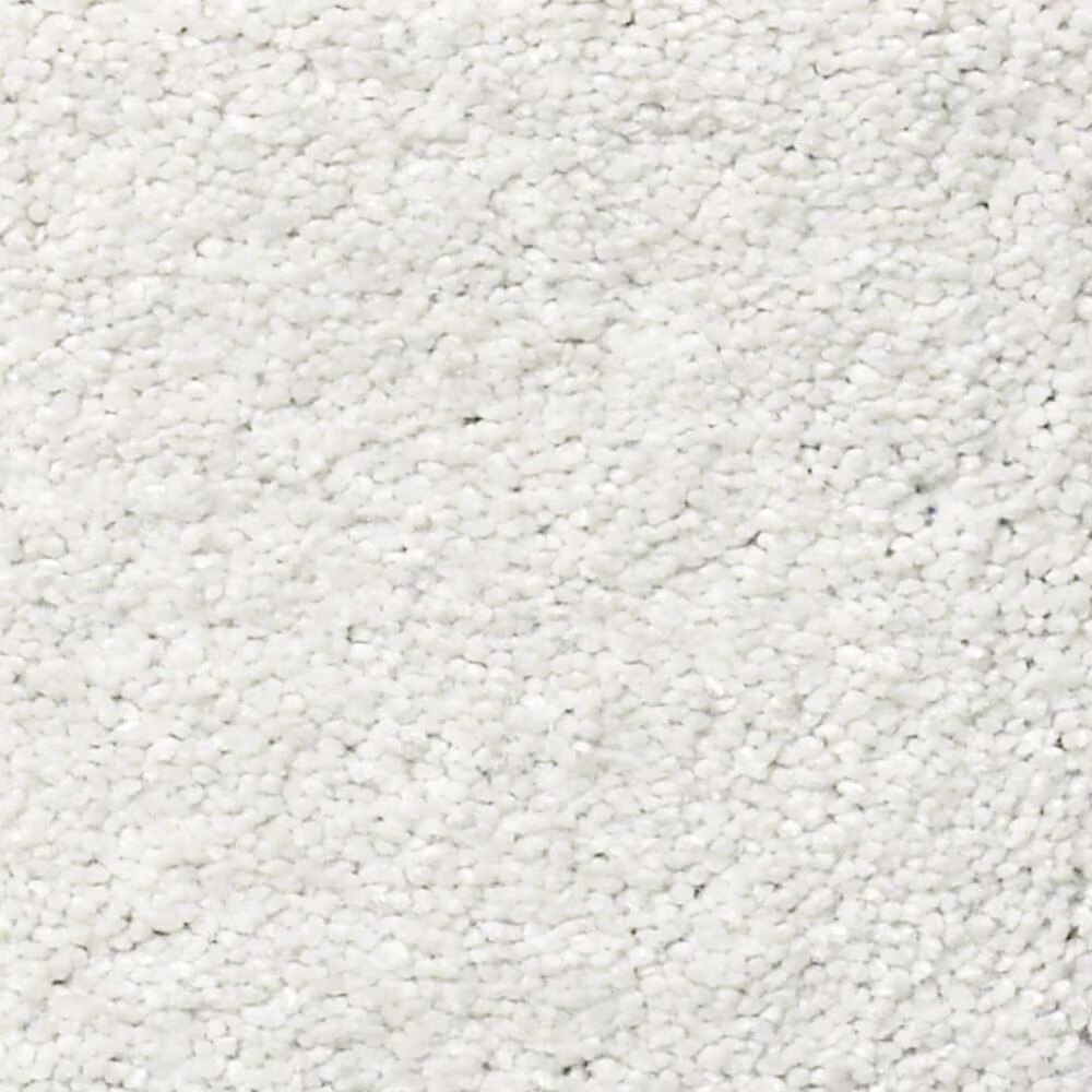 Shaw Find Your Comfort NS II Carpet in Coming Home