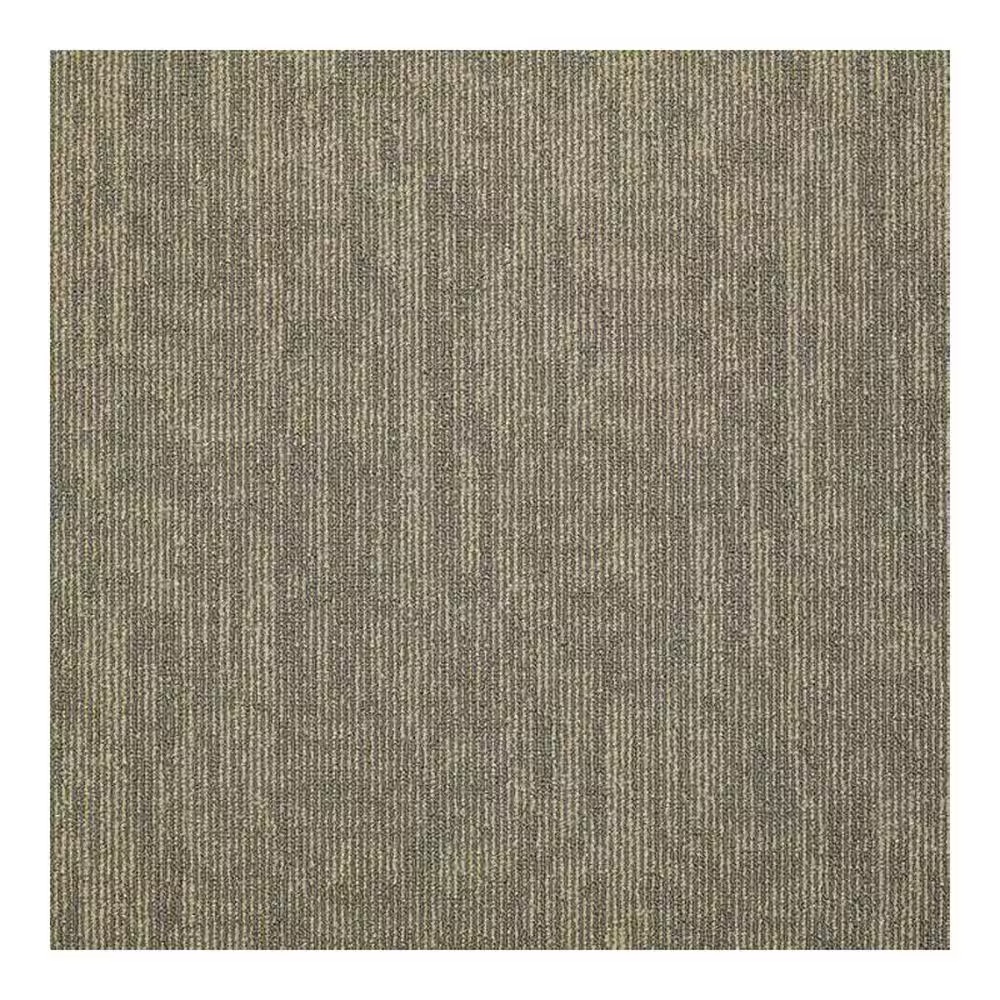 Shaw Carbon Copy 24" x 24" Carpet Tile in Transfer