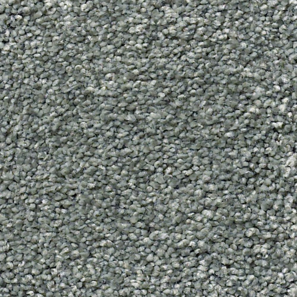 Shaw Find Your Comfort NS II Carpet in Cottage Garden