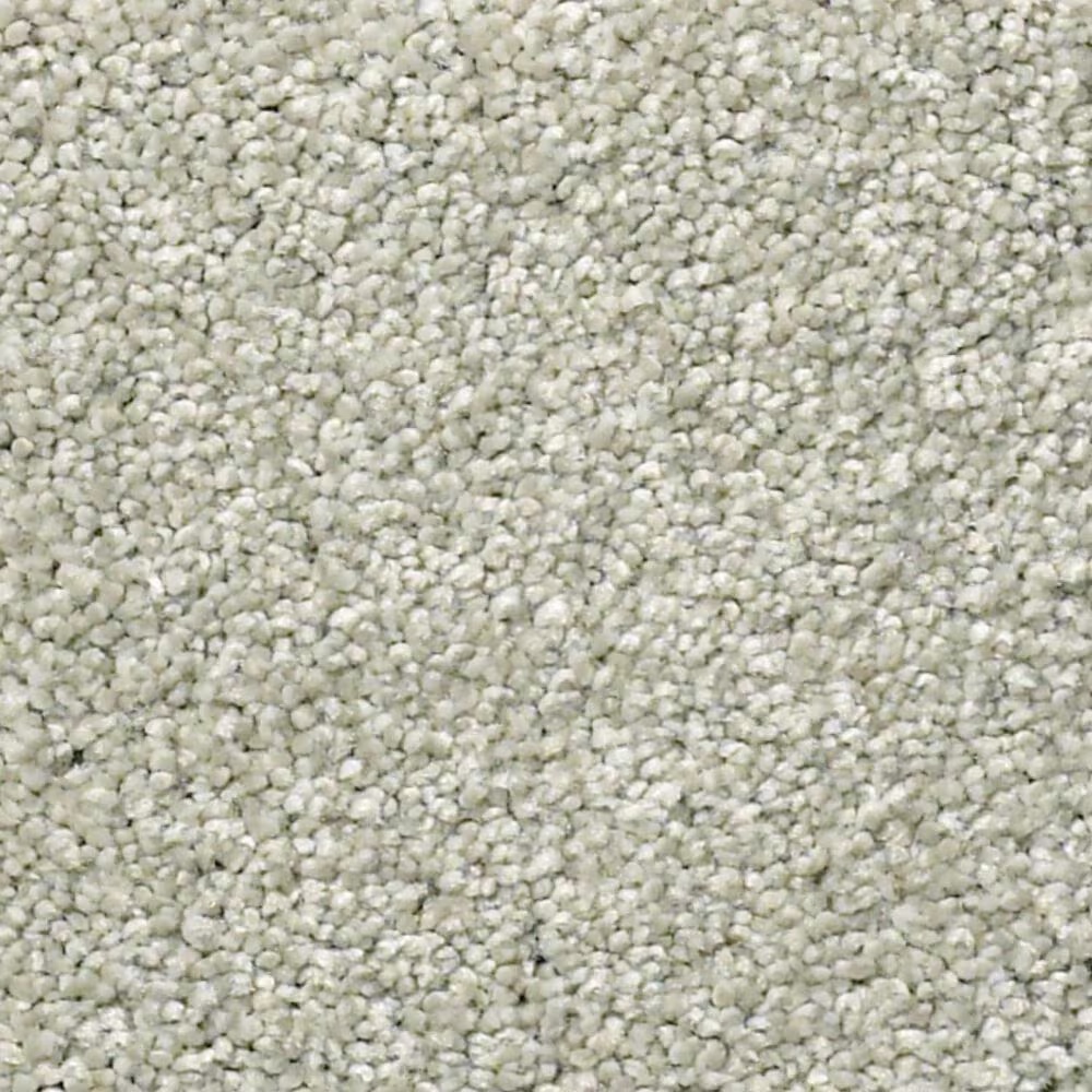 Shaw Find Your Comfort NS II Carpet in Willow Tree