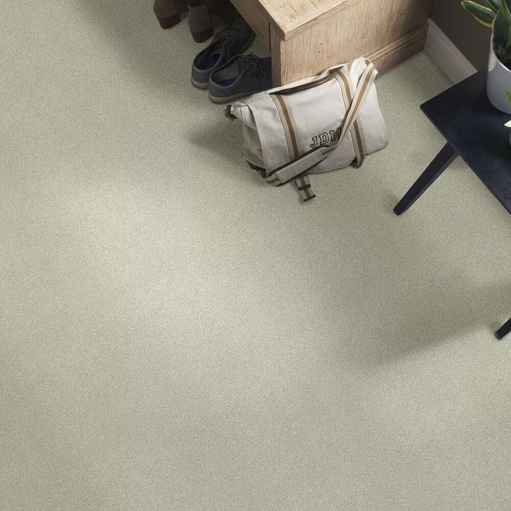 41851-shaw-find-your-comfort-ns-ii-carpet-in-willow-tree-1.jpg
