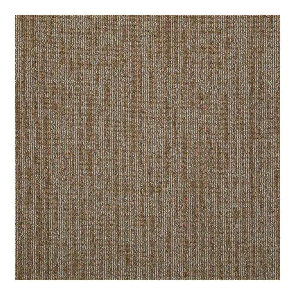Shaw Carbon Copy 24" x 24" Carpet Tile in Duplicate
