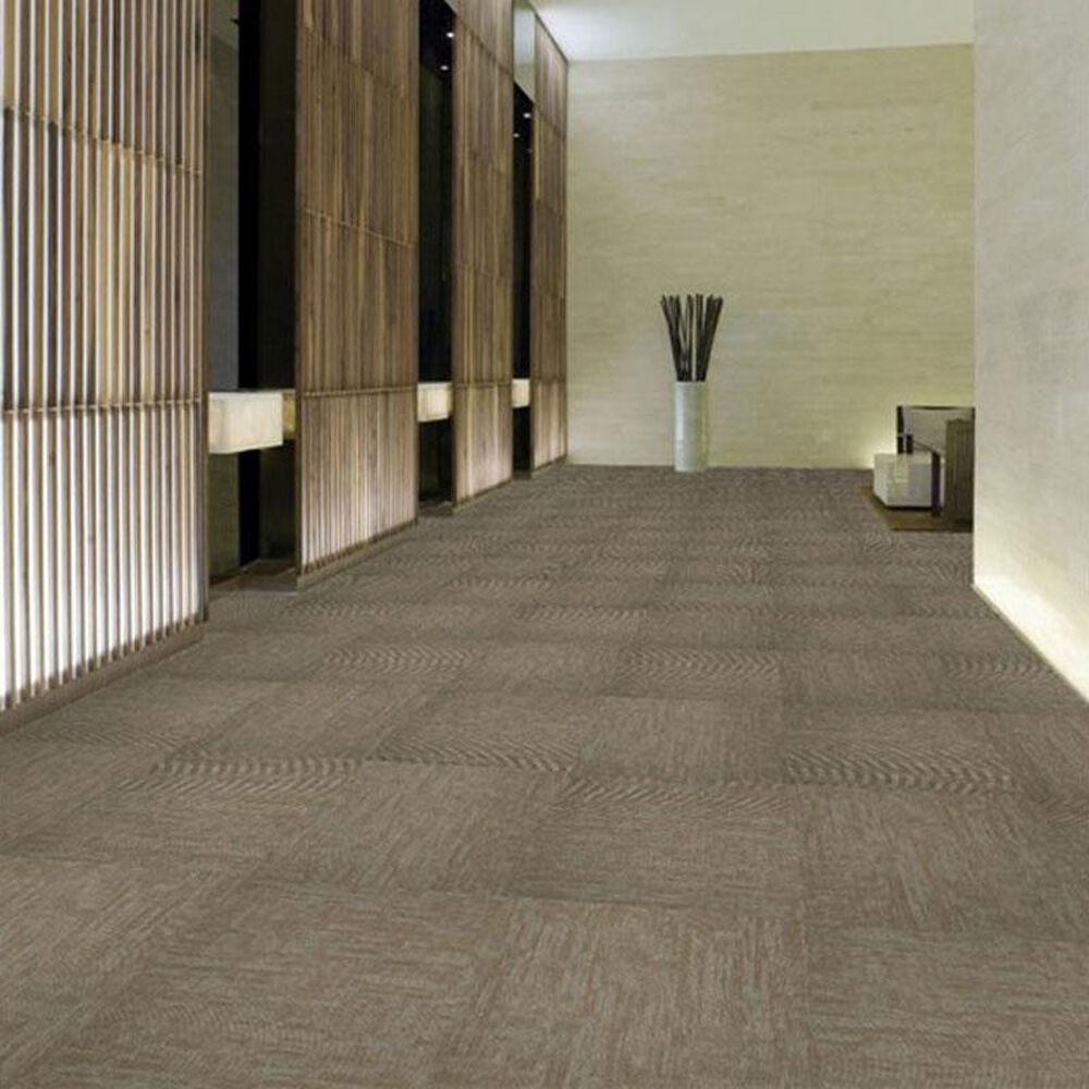 4215-shaw-carbon-copy-24-x-24-carpet-tile-in-duplicate-1.jpg