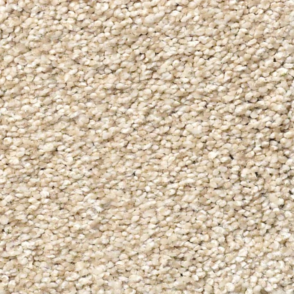Shaw Find Your Comfort TT II Carpet in Sun Kissed