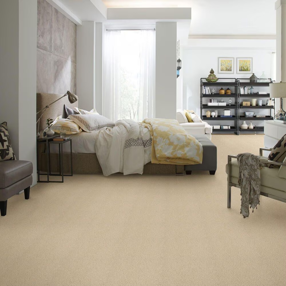 42151-shaw-find-your-comfort-tt-ii-carpet-in-sun-kissed-1.jpg