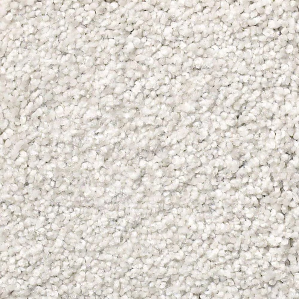 Shaw Find Your Comfort TT II Carpet in Warm Blanket