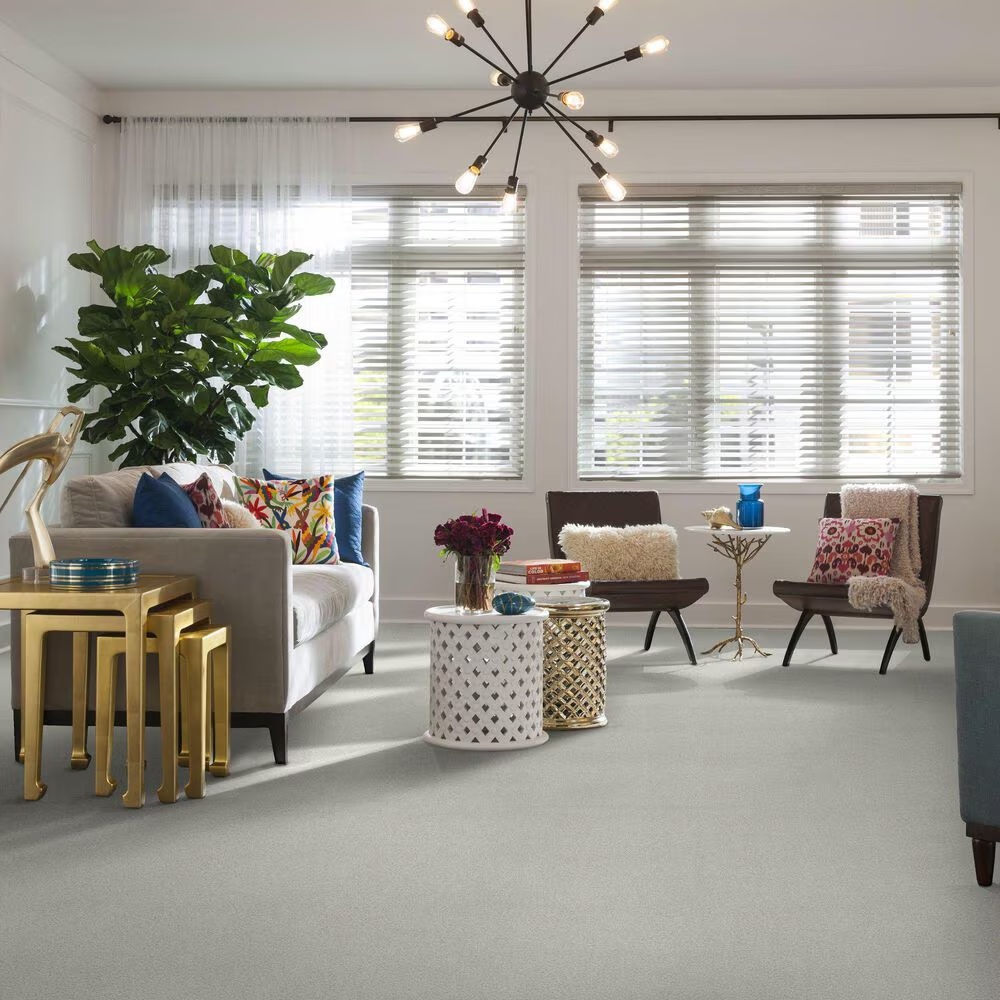 42152-shaw-find-your-comfort-tt-ii-carpet-in-warm-blanket-1.jpg
