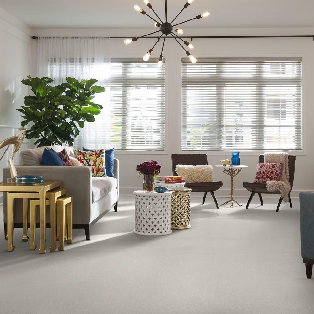 42153-shaw-find-your-comfort-tt-ii-carpet-in-sweet-innocence-1.jpg