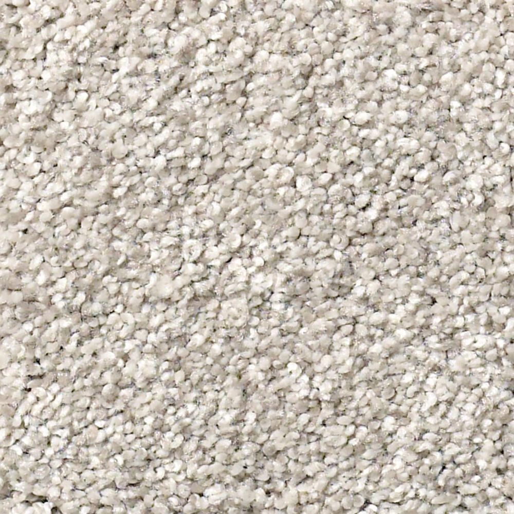 Shaw Find Your Comfort TT II Carpet in Chill in The Air