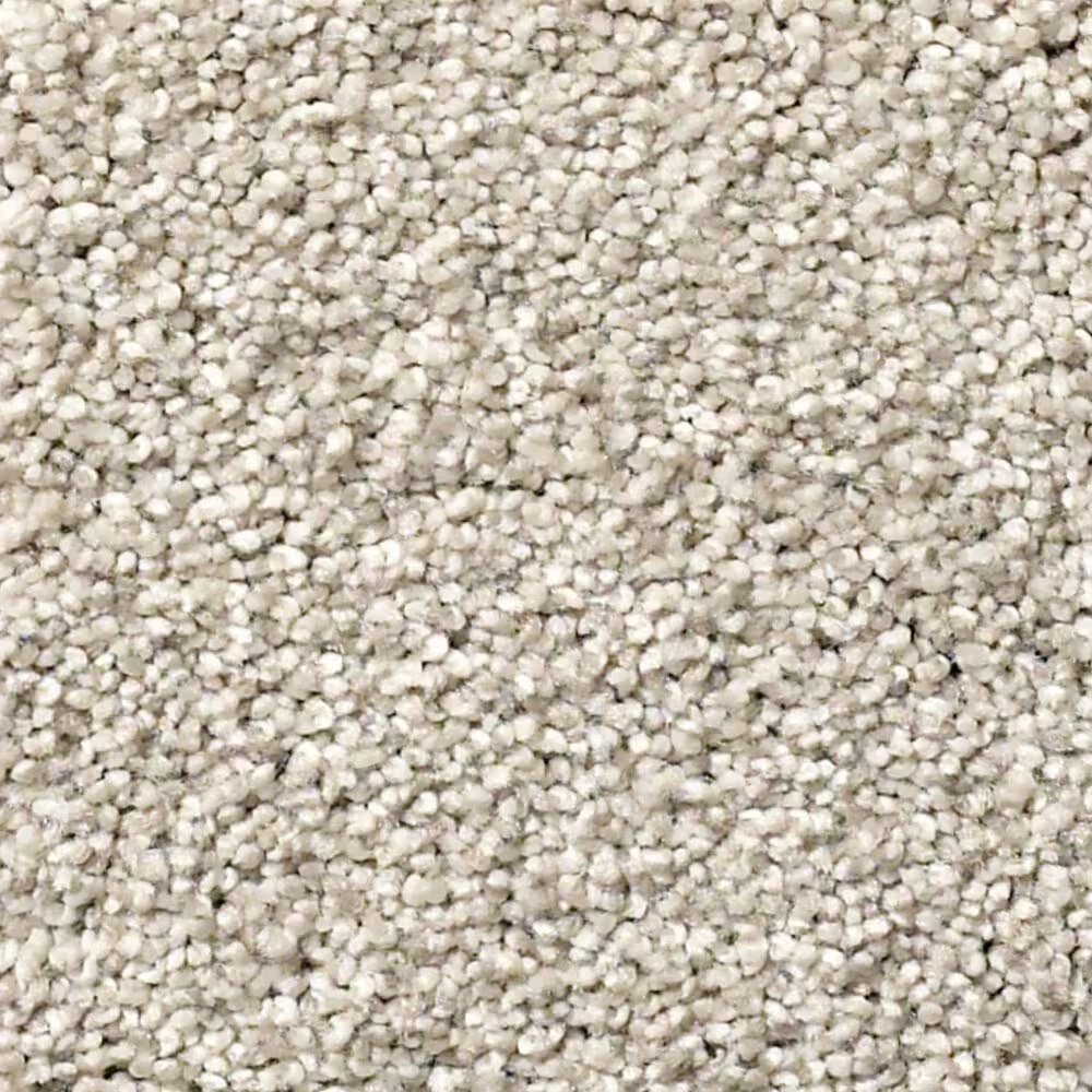 Shaw Find Your Comfort TT II Carpet in Shoreline Haze