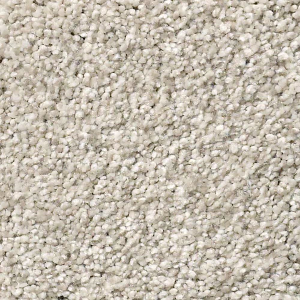 Shaw Find Your Comfort TT II Carpet in Need A Hug