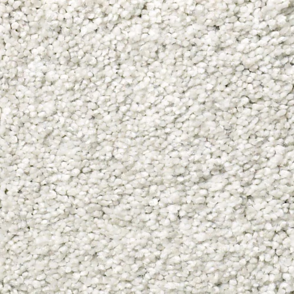 Shaw Find Your Comfort TT II Carpet in Coming Home