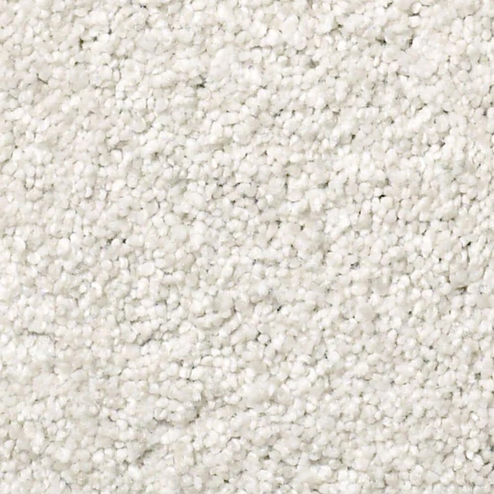 Shaw Find Your Comfort TT II Carpet in Neighborhood Bistro
