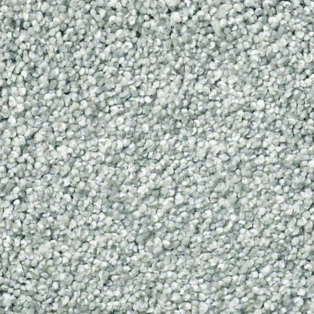 Shaw Find Your Comfort TT II Carpet in Distant Valley