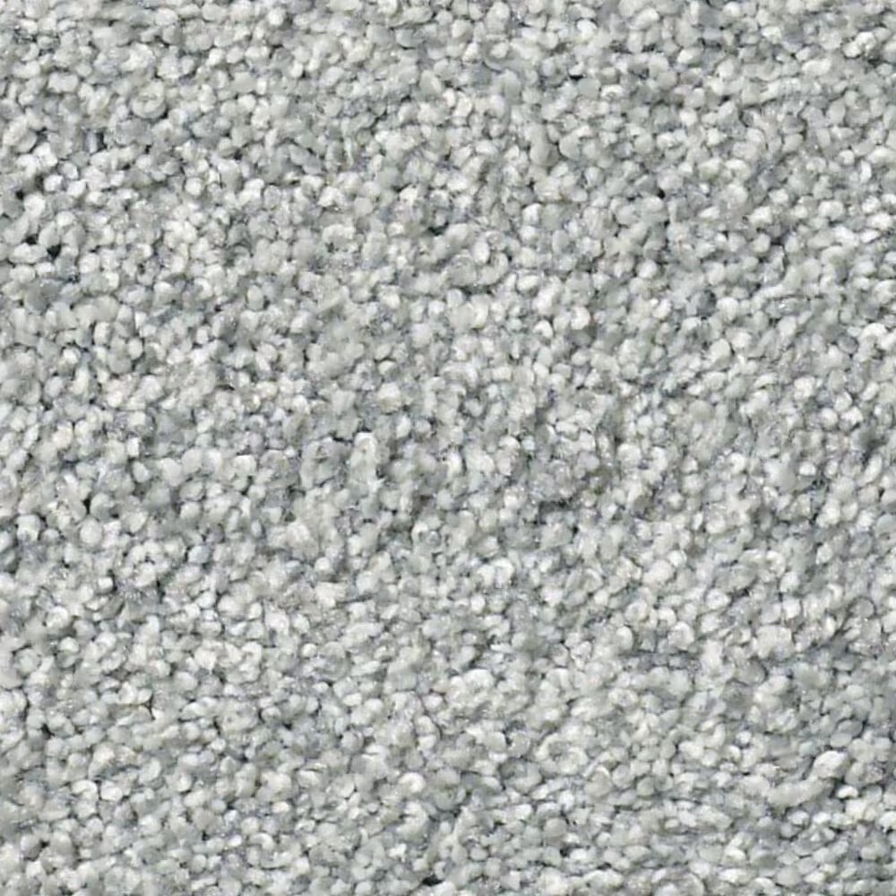 Shaw Find Your Comfort TT II Carpet in Waters Edge