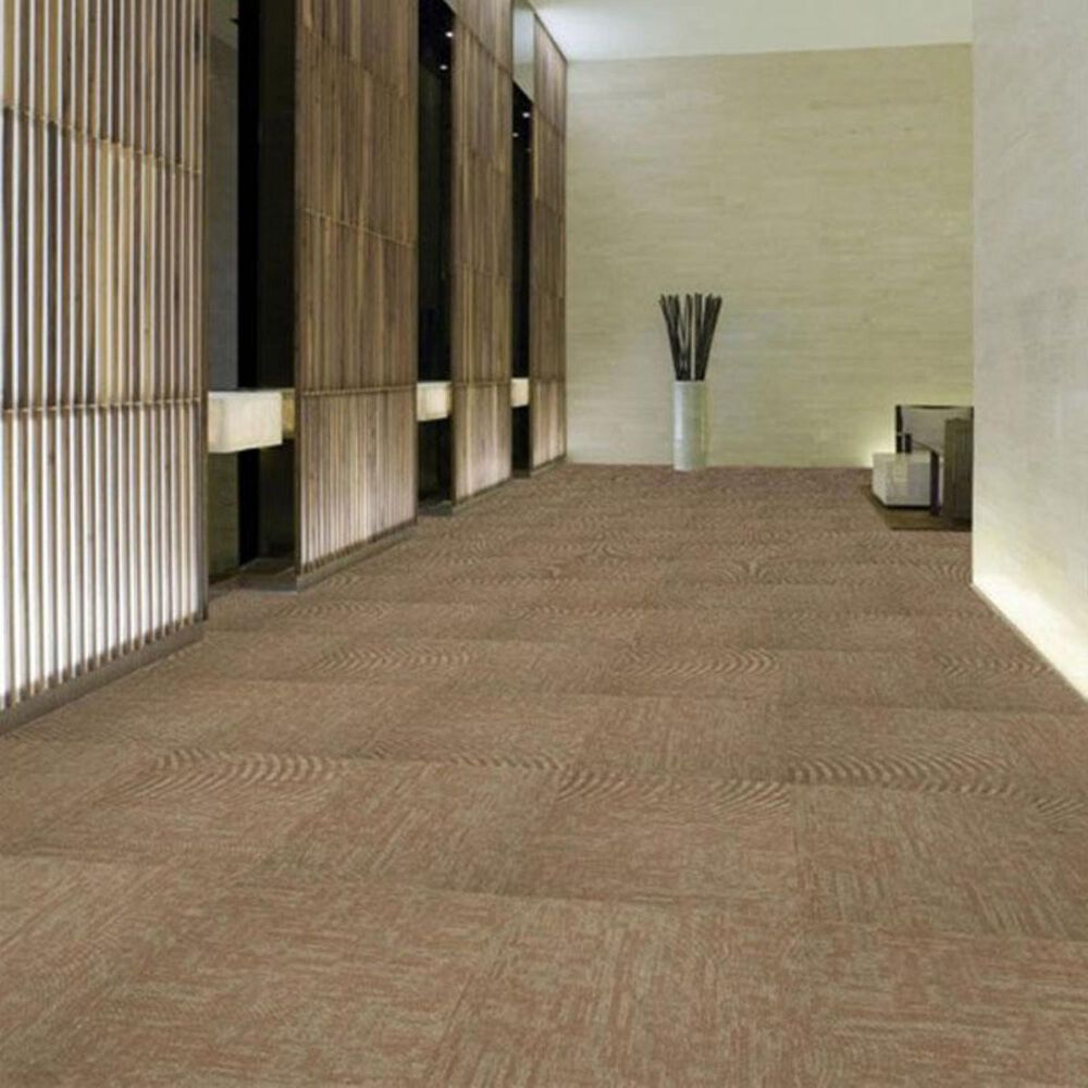 4228-shaw-carbon-copy-24-x-24-carpet-tile-in-alter-ego-1.jpg