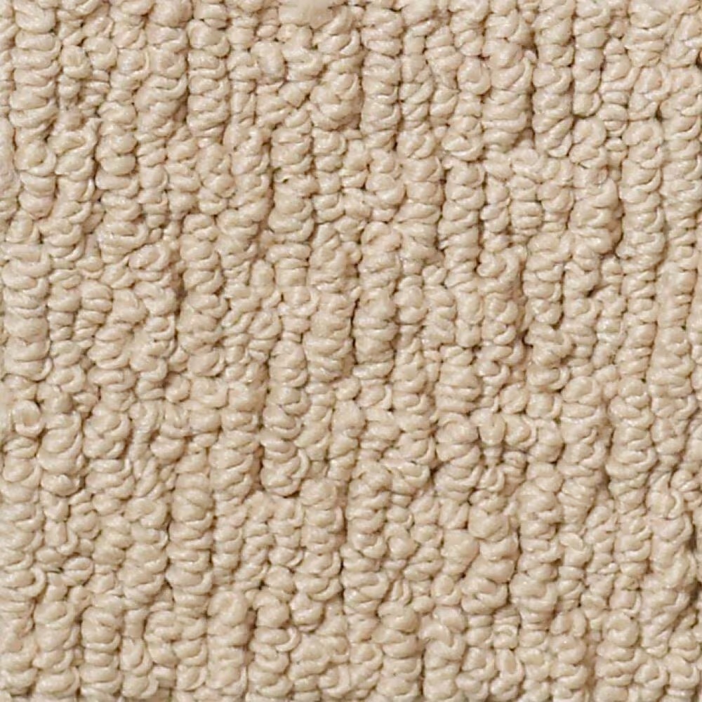 Anderson Tuftex Powerful Art Carpet in Baked Beige