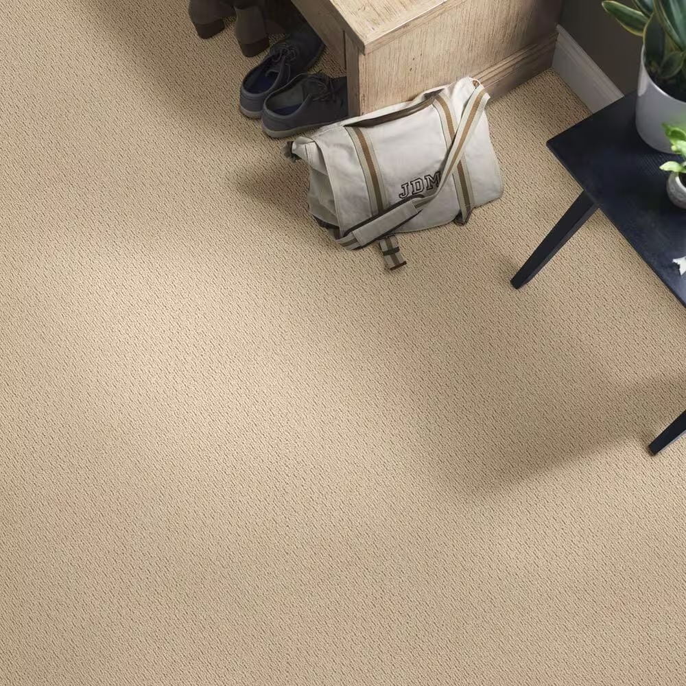 42452-anderson-tuftex-powerful-art-carpet-in-baked-beige-1.jpg