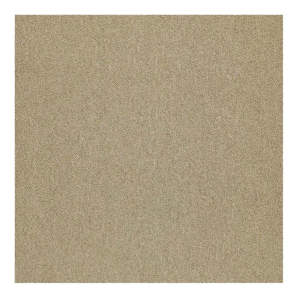 Shaw Counterpart 24" x 24" Carpet Tile in Copy Cat