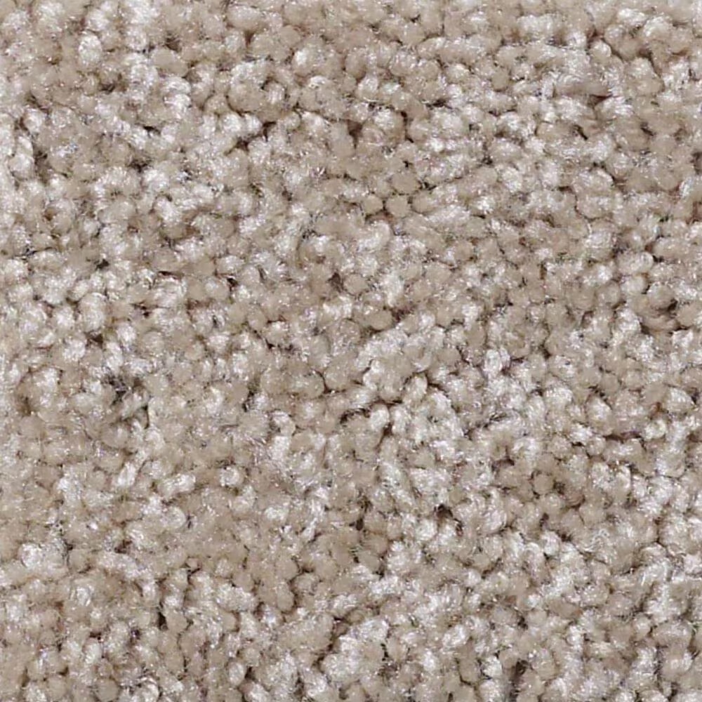 Shaw Make It Yours Carpet in Wood Bridge