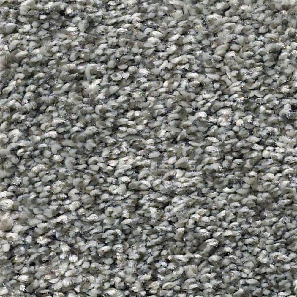 Shaw Simply the Best All Over It II Carpet in Sparrow
