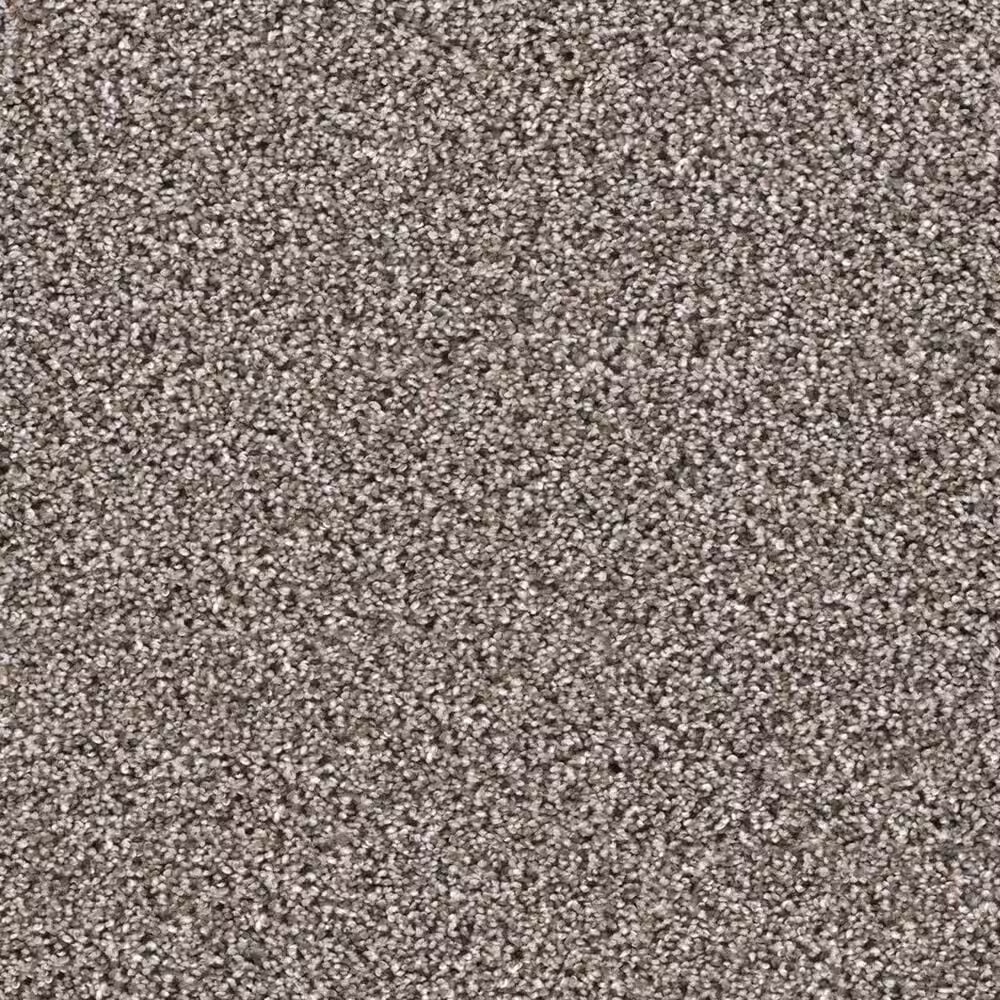 Dream Weaver Trendsetter I Carpet in Sageview