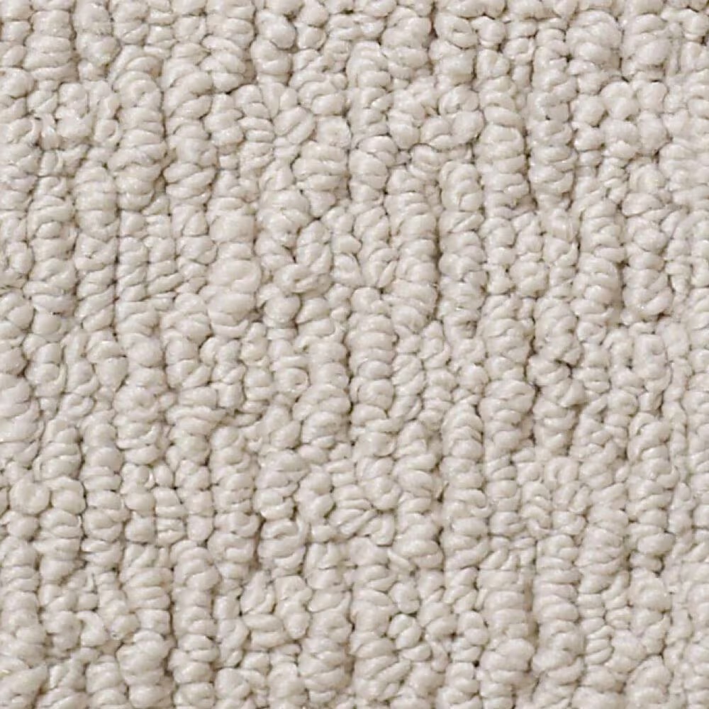 Anderson Tuftex Powerful Art Carpet in Cement
