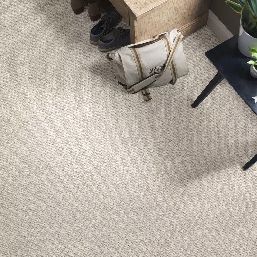43973-anderson-tuftex-powerful-art-carpet-in-cement-1.jpg