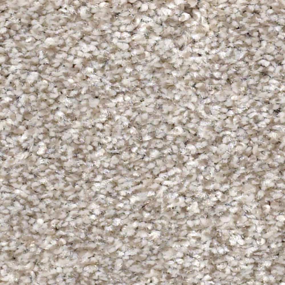 Shaw Just Right I Carpet in Winter Dunes
