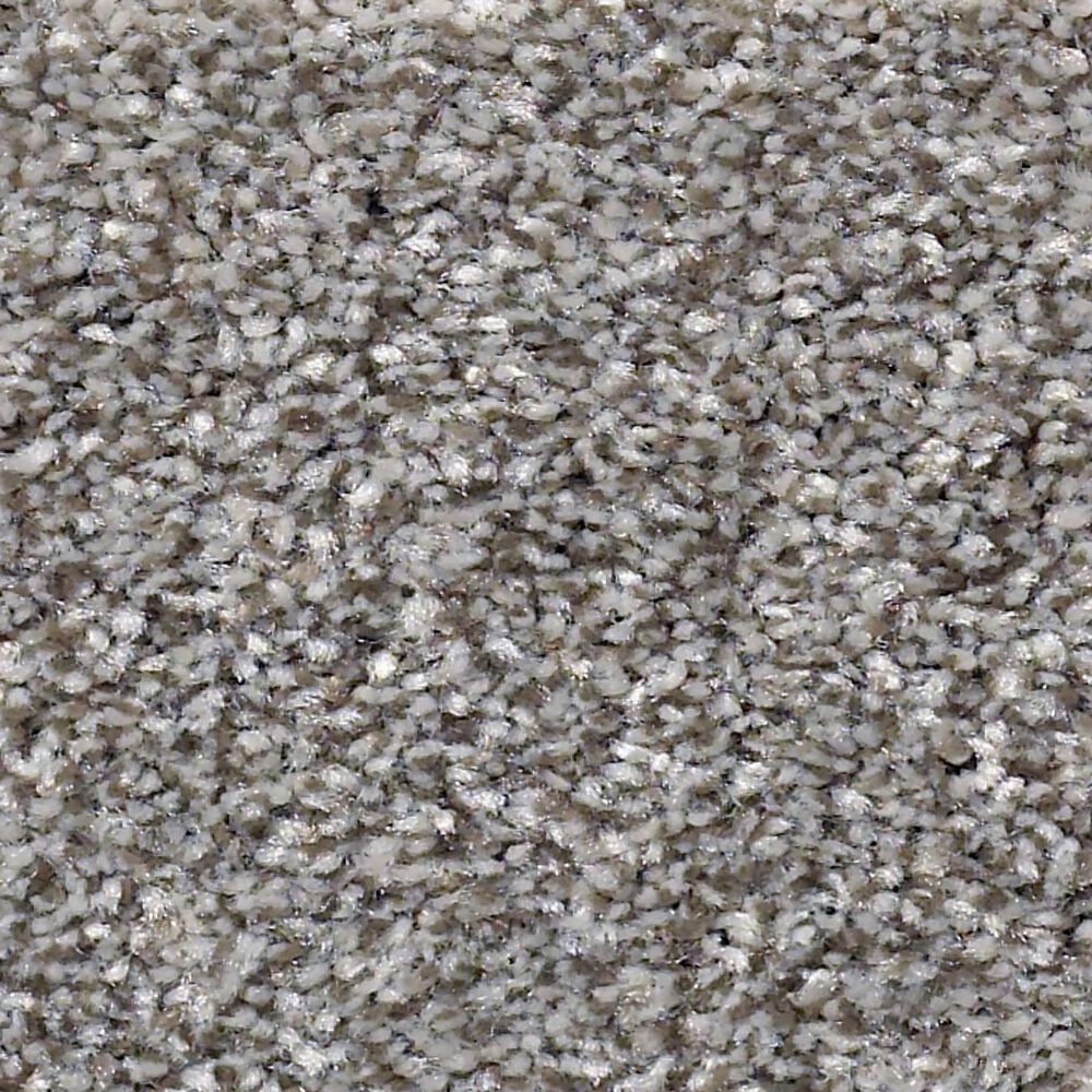 Shaw Just Right I Carpet in Cedar Ridge