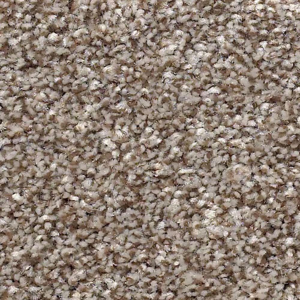 Shaw Just Right I Carpet in Fox Hollow