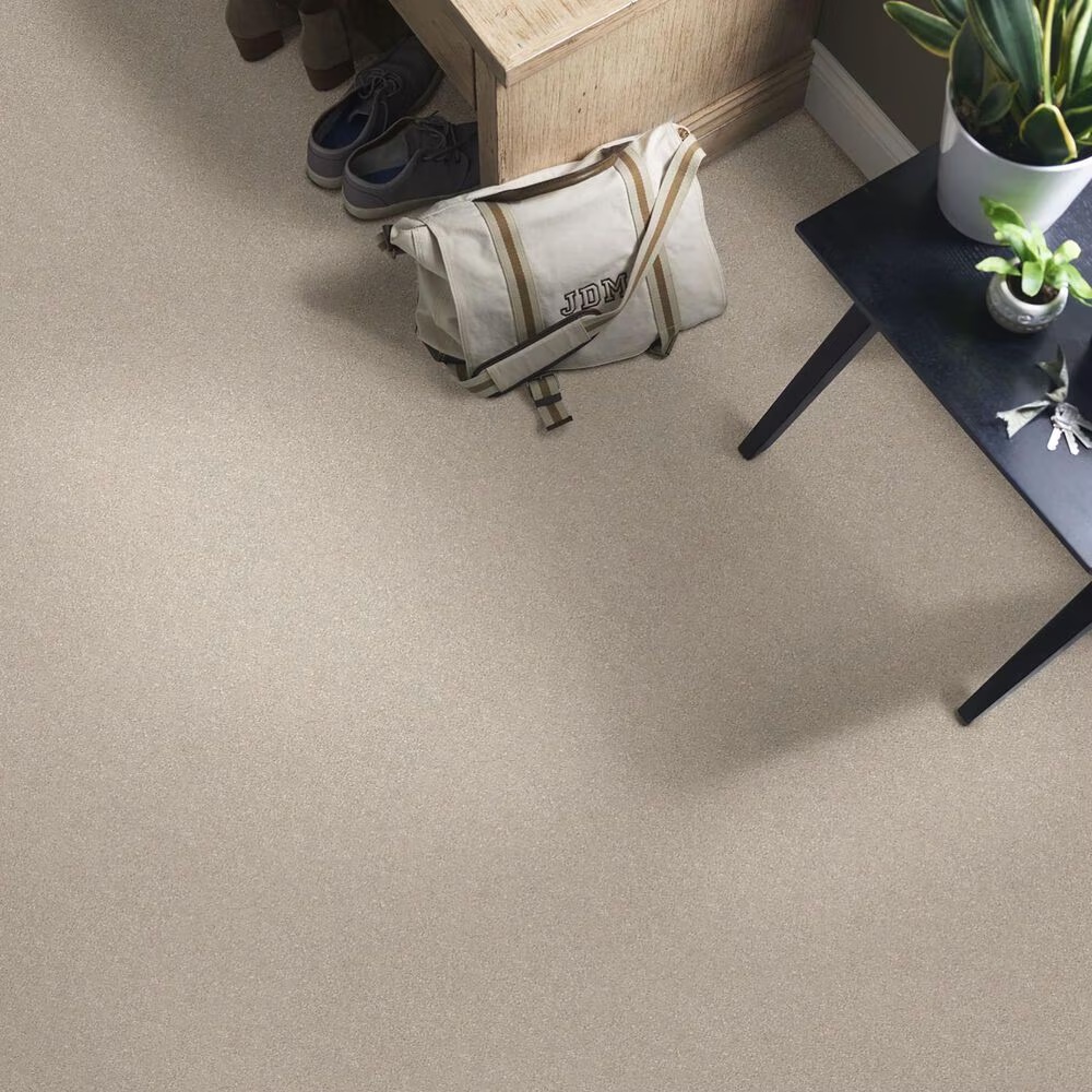 44258-shaw-well-grounded-iii-12-carpet-in-dreamy-1.jpg