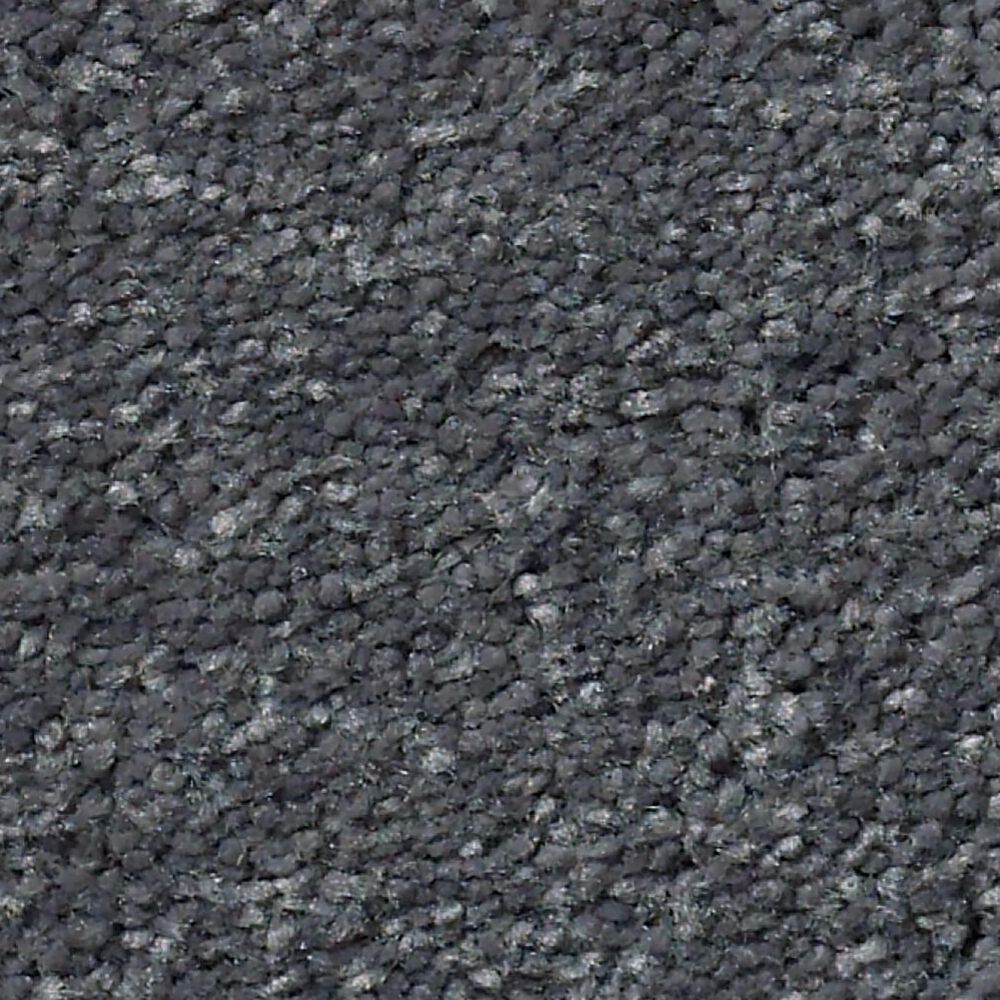 Shaw Well Grounded III 12' Carpet in Iron