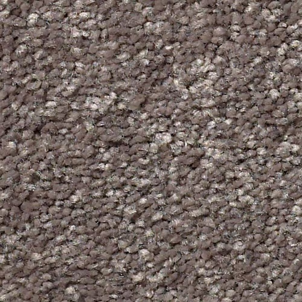 Shaw Well Grounded III 12' Carpet in Pewter