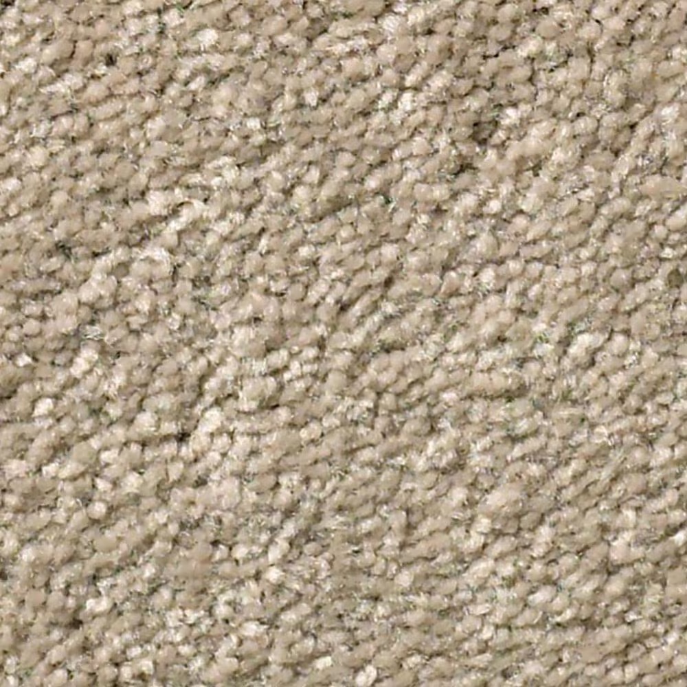 Shaw Well Grounded II 12' Carpet in Raw Lumber