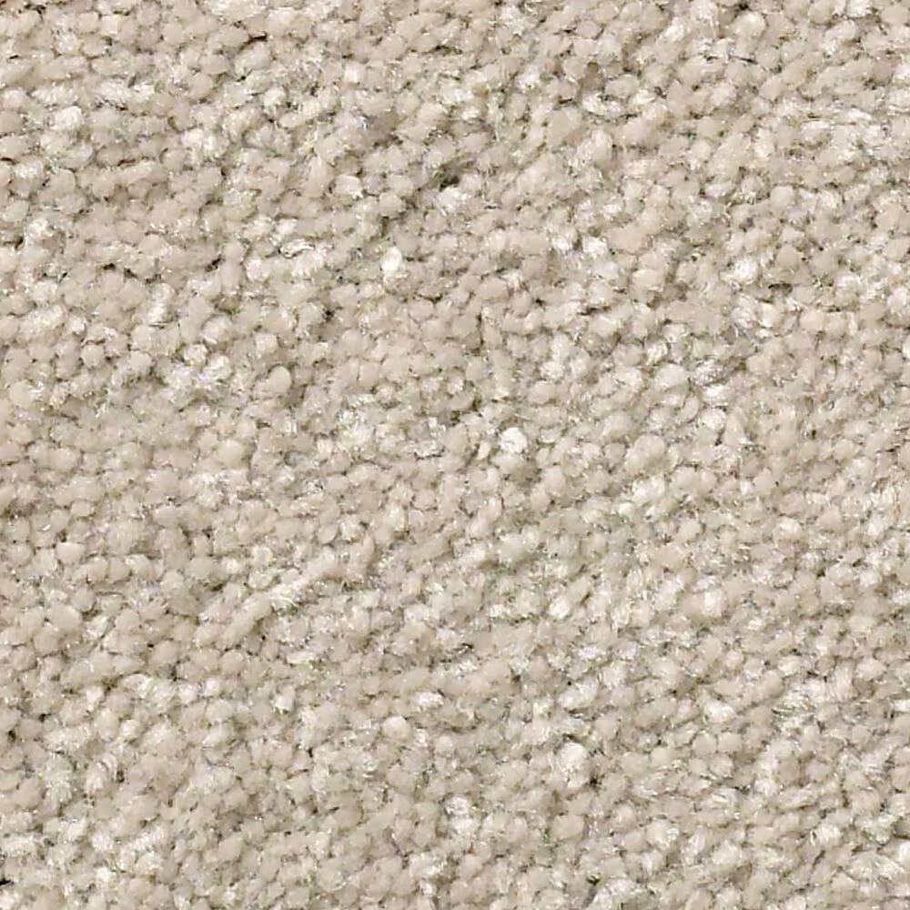 Shaw Well Grounded II 12' Carpet in Dreamy