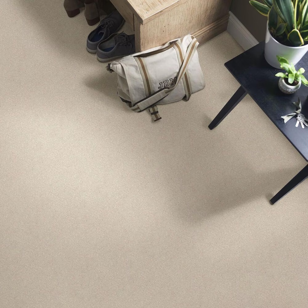 44284-shaw-well-grounded-i-12-carpet-in-bleached-1.jpg