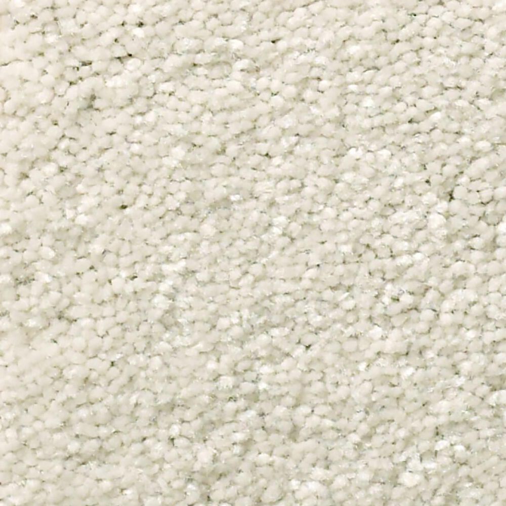Shaw Well Grounded I 12' Carpet in Minimalist