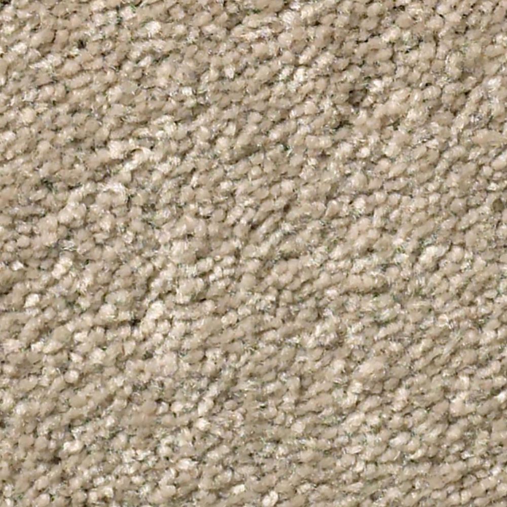 Shaw Well Grounded I 12' Carpet in Raw Lumber