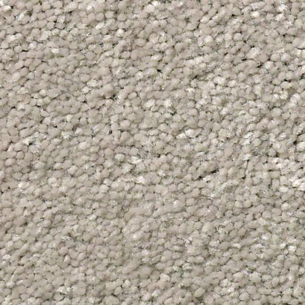 Shaw Well Grounded I 12' Carpet in Greige
