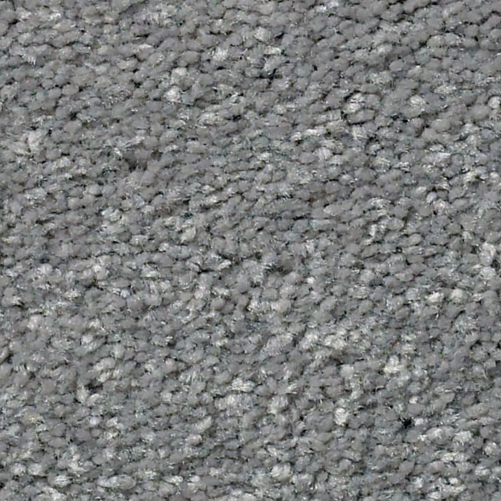 Shaw Well Grounded I 12' Carpet in Concrete